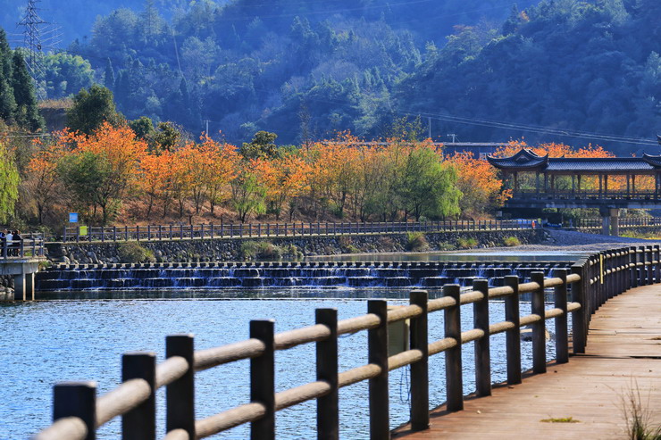 1638934141209728.jpg 1638934141209728.jpg