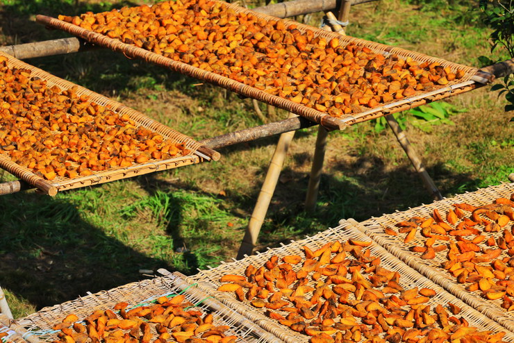 1638934162686065.jpg 1638934162686065.jpg