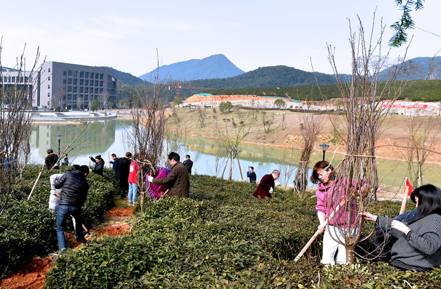 1521010525826251.jpg 植树节10.jpg