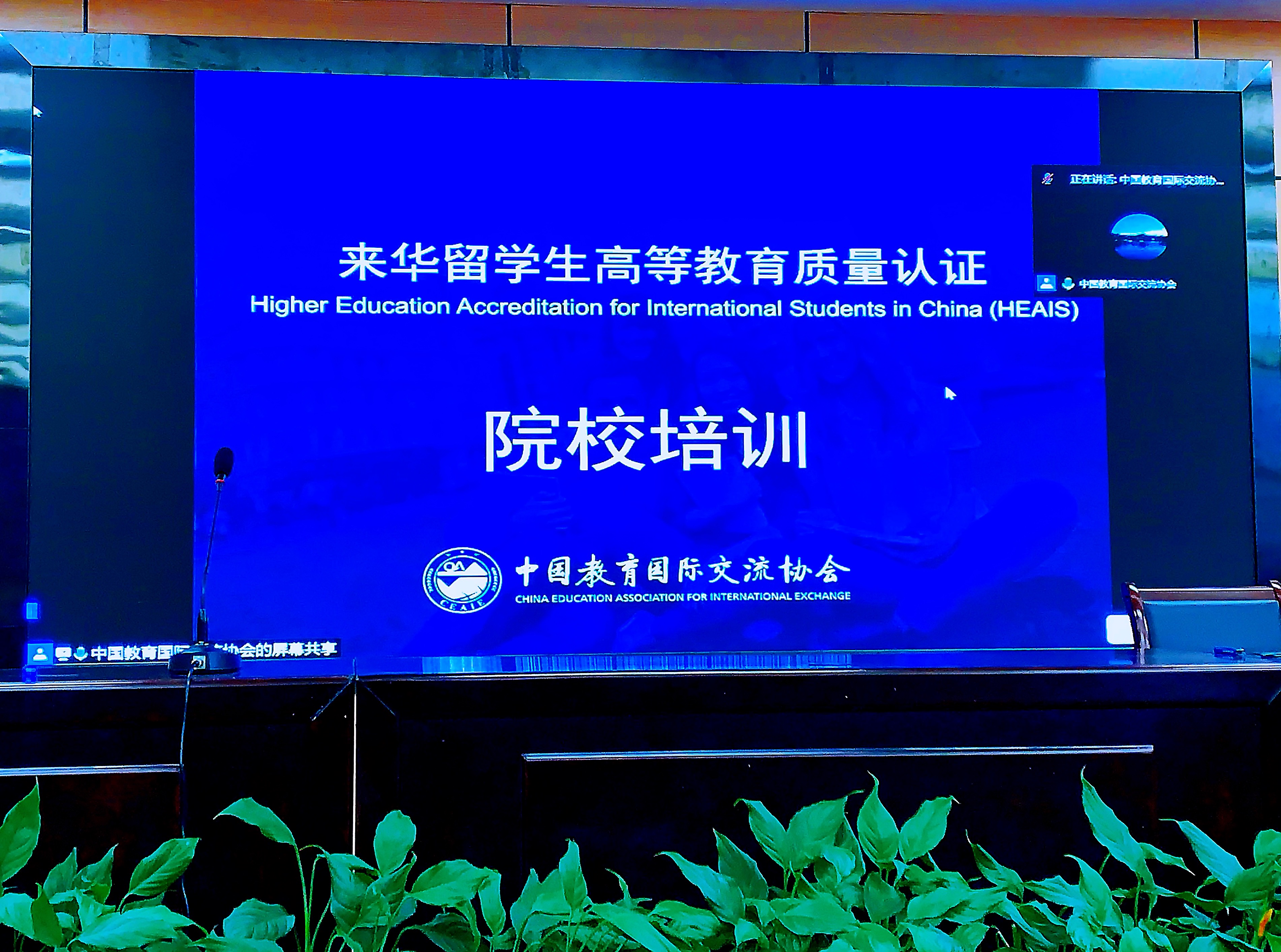 1617937702407130.jpg 1617937702407130.jpg