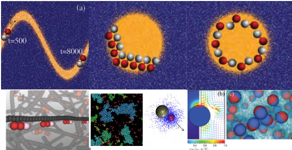 1561781745827753.jpg QQ图片20190629103800.jpg