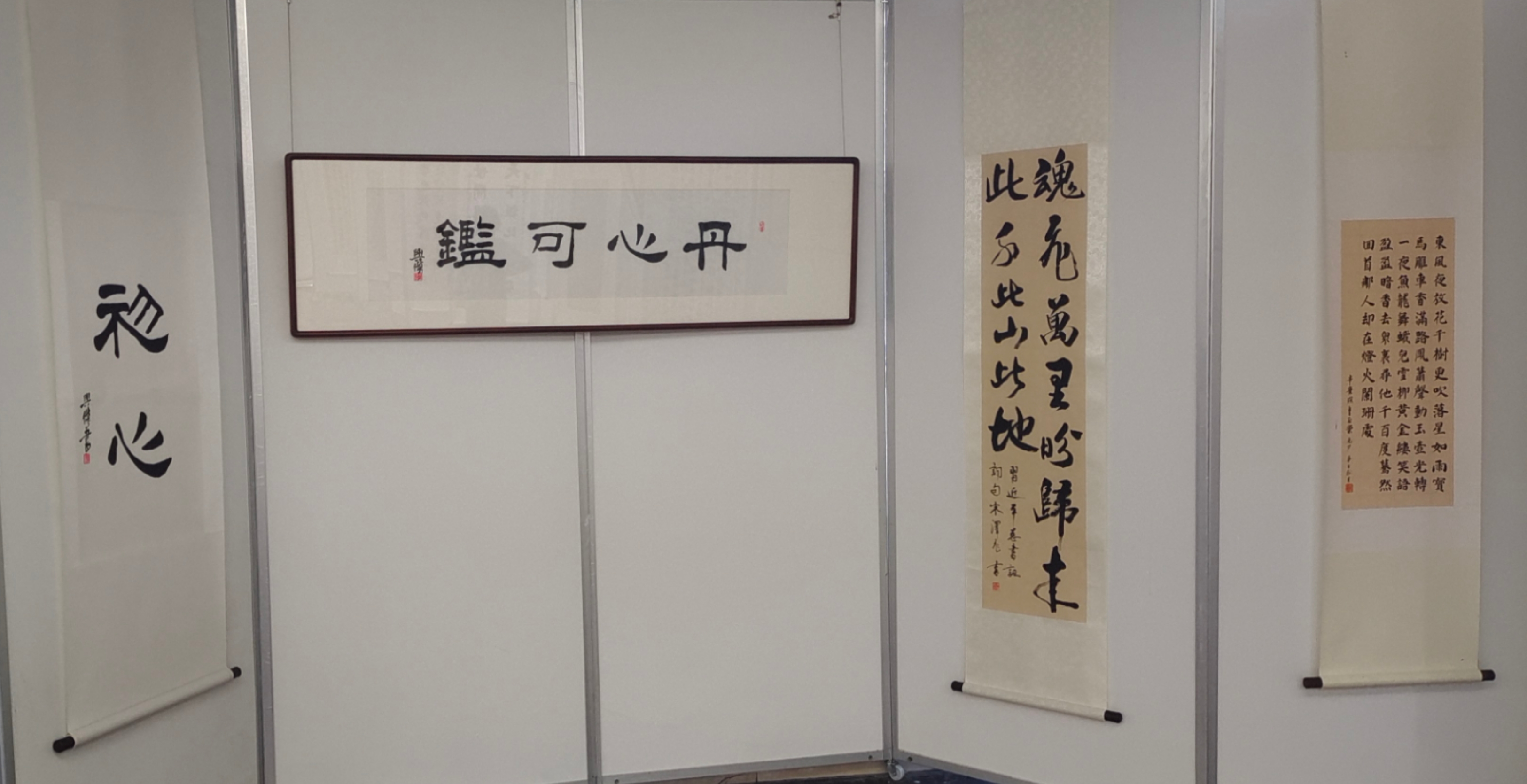 1655081246509449.jpg 1655081246509449.jpg