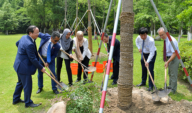 1560488871792660.jpg 3.jpg