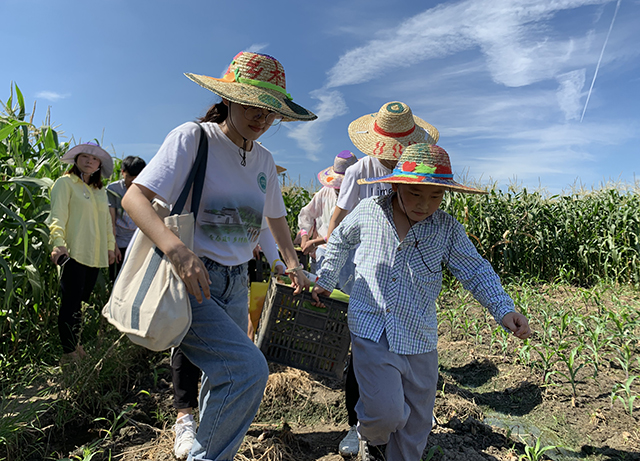 1565345955325792.jpg IMG_3950.JPG