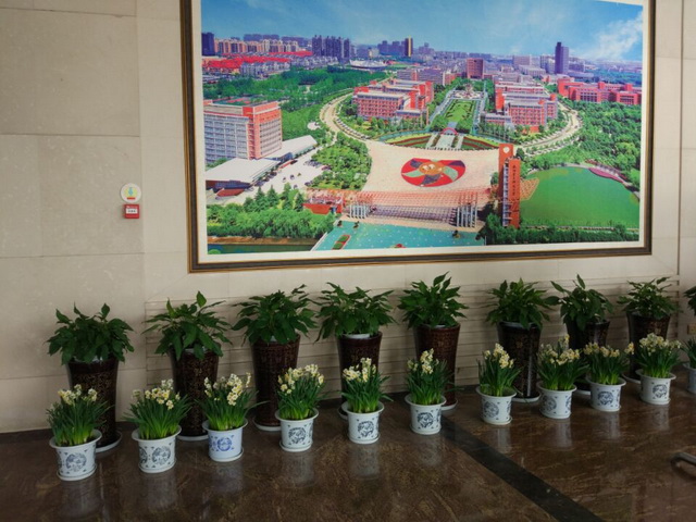 书香校园花卉摆放迎新学期2.jpg